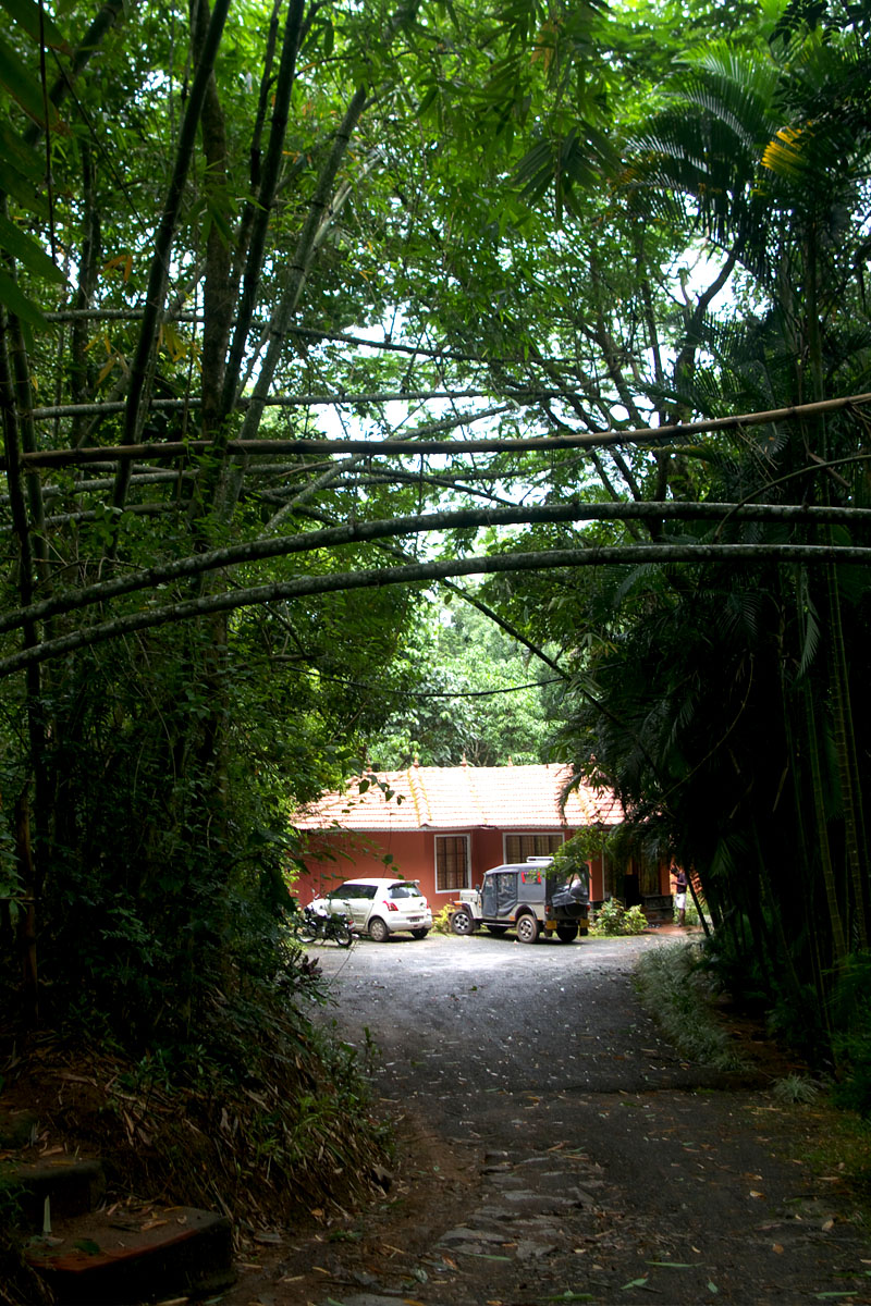 Forest Resort Wayanad
