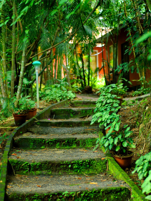 Sunbird Farm Resort Cottages
