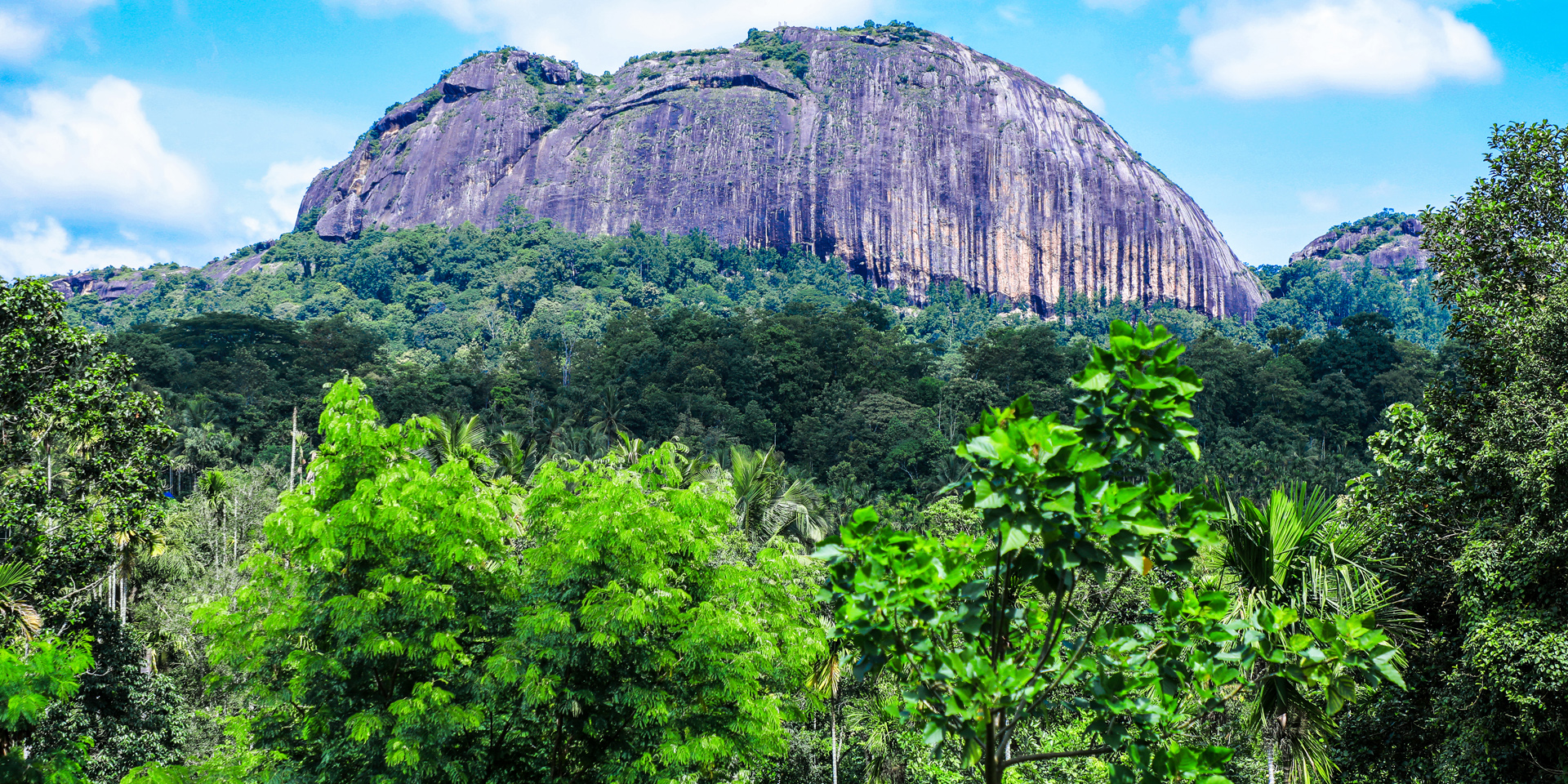 Resort View Of Kolgappara Rock & Farm