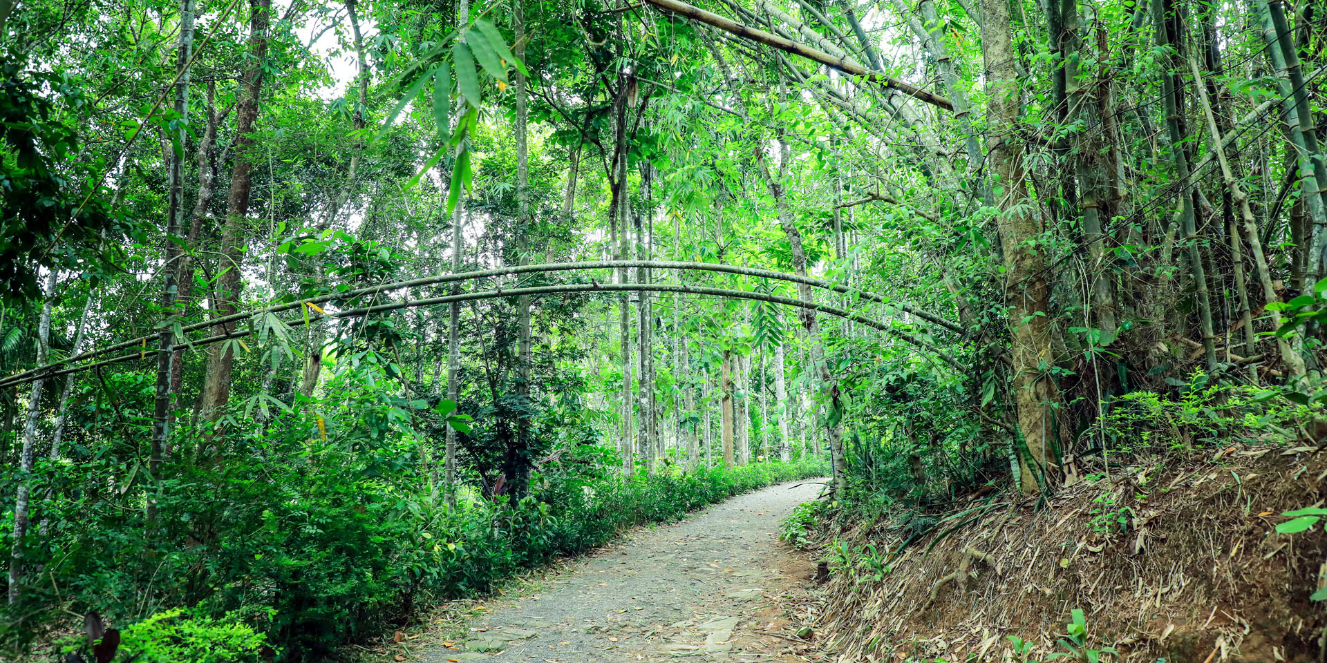 Sunbird Farm Resort Walkway 2